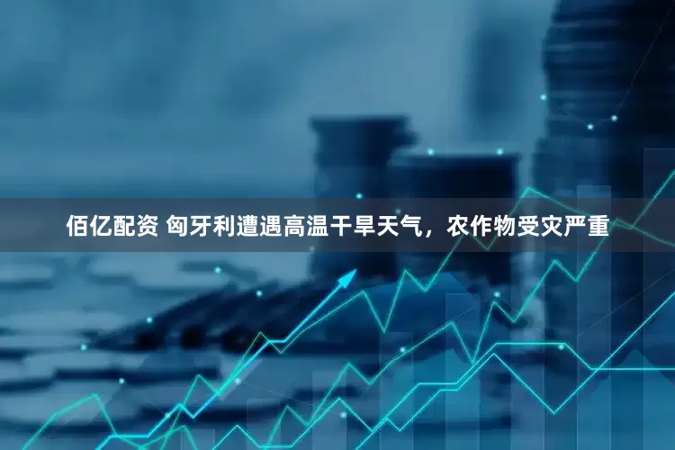 佰亿配资 匈牙利遭遇高温干旱天气，农作物受灾严重