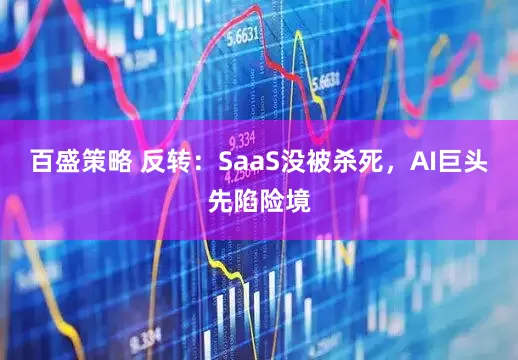 百盛策略 反转：SaaS没被杀死，AI巨头先陷险境
