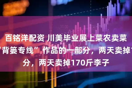 百铭洋配资 川美毕业展上菜农卖菜？作者：“背篓专线” 作品的一部分，两天卖掉170斤李子